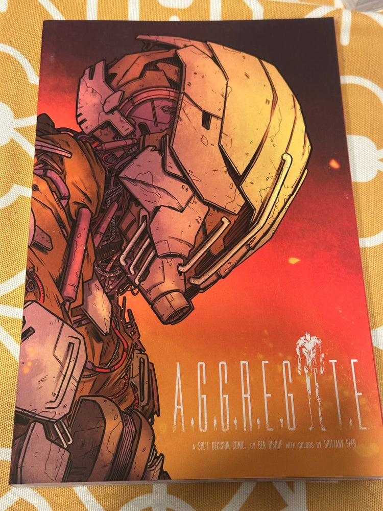 Aggregate Ben Bishop - 1st edition - Signed